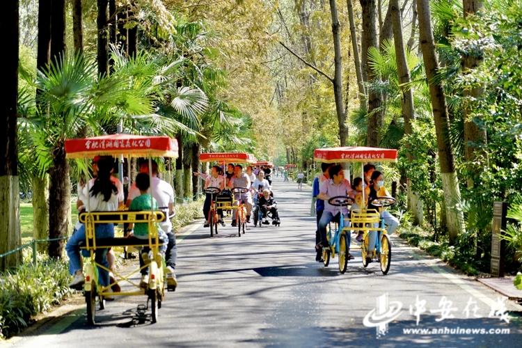 合肥万人游园迎中秋 景区旅游观光服务再升级